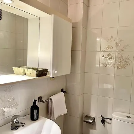 Agradable Centrico En Apartment